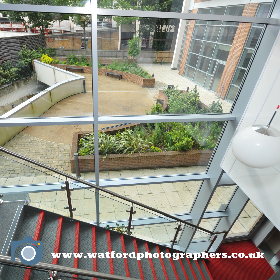 Business profile photos, portrait photos Watford workplaces